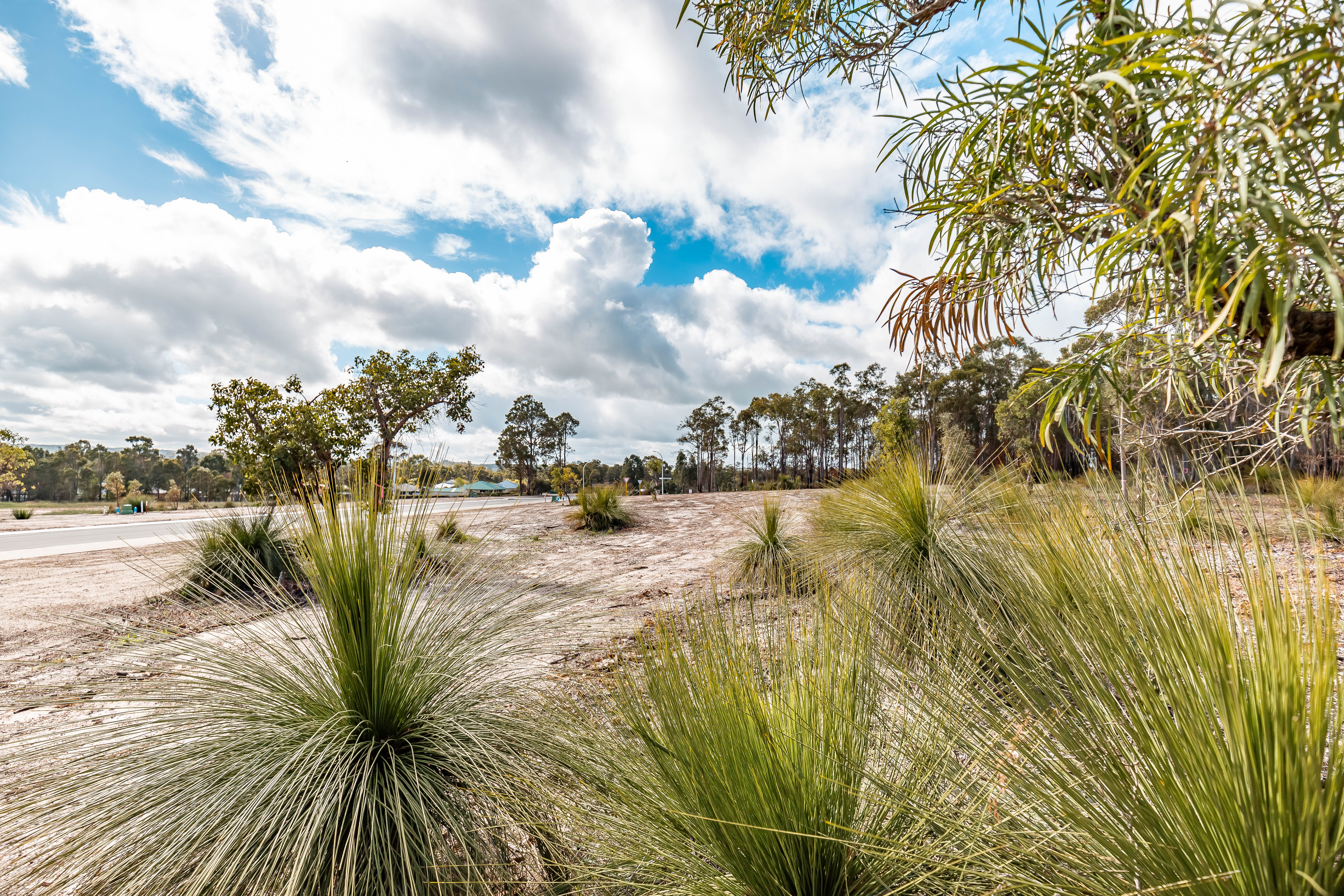 57 HARDENBERGIA VIEW, DONNYBROOK WA 6239, 0 phòng ngủ, 0 phòng tắm, Section