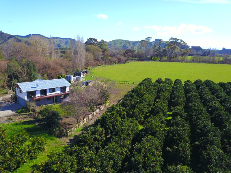 300 Waingake Road, Manutuke, Gisborne, 0房, 0浴