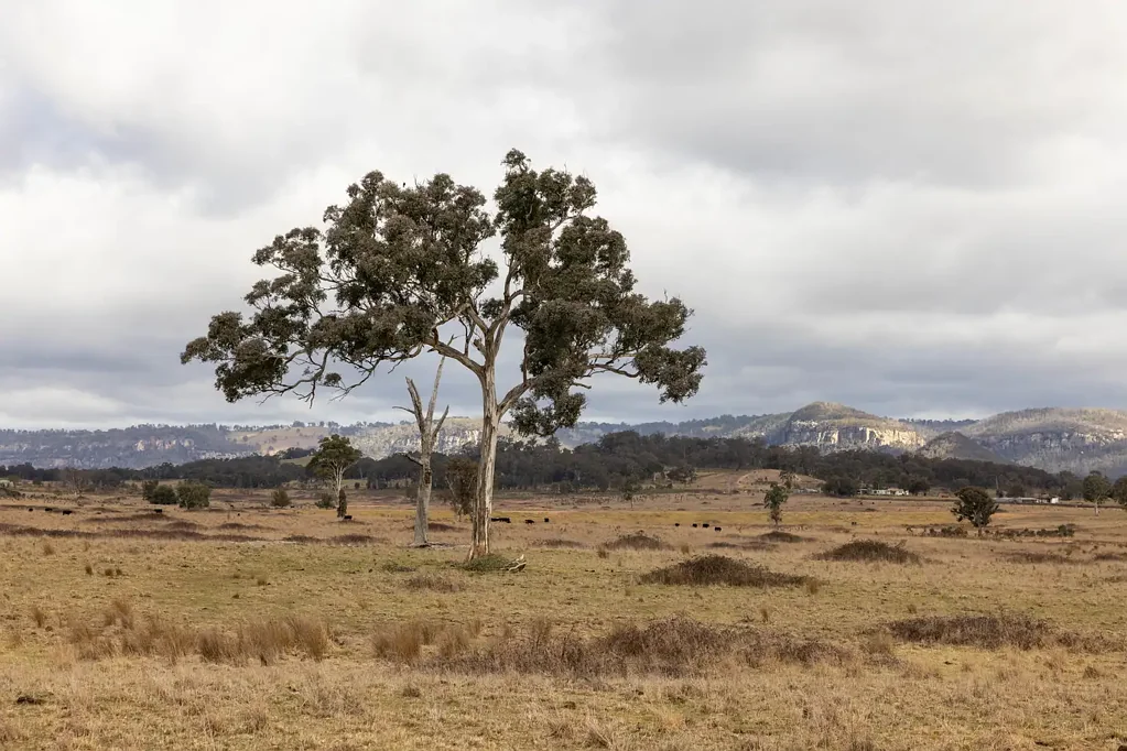 162 Mount View Road, Kandos, NSW 2848