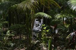 2038 Numinbah Road, Numinbah
