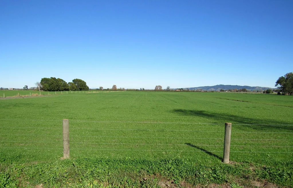 Tahuna Lifestyle Opportunity