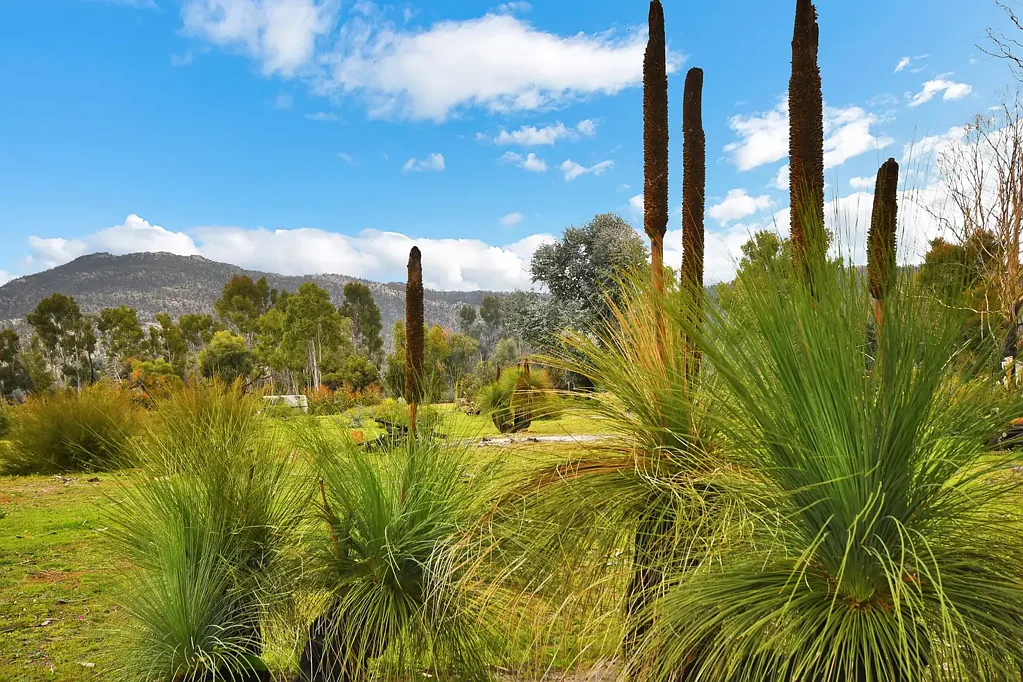 57 Wildflower Dr, Pomonal, VIC 3381