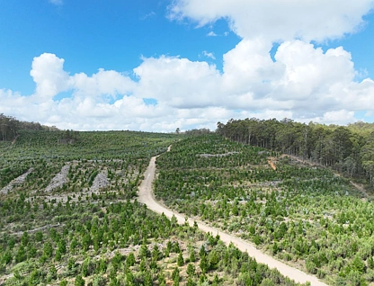 Lot 12 &13 Porters Bridge Road, Exton, Launceston and North East, 0 침실, 0 욕실, Lifestyle Property