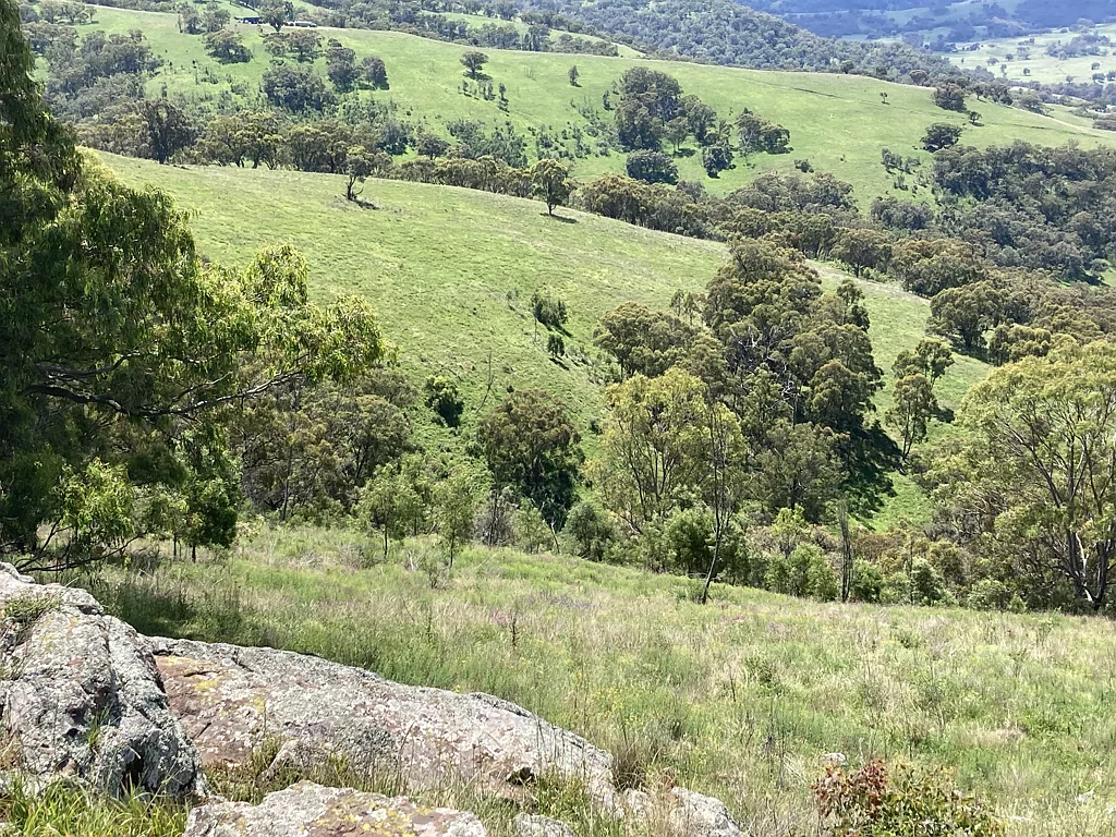 1861 Pembroke Road, Cassilis, NSW 2329