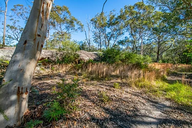 7 Pacific Highway, Calga, NSW 2250, 0 slaapkamers, 0 badkamers, Section