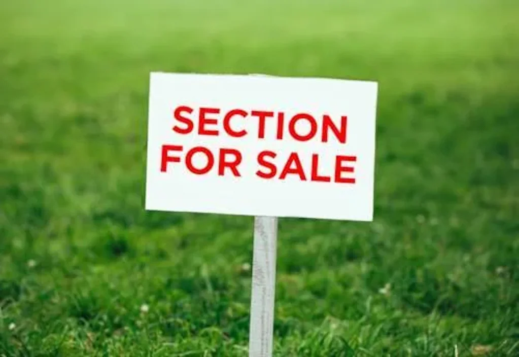 Glen Eden Superior Freehold Section