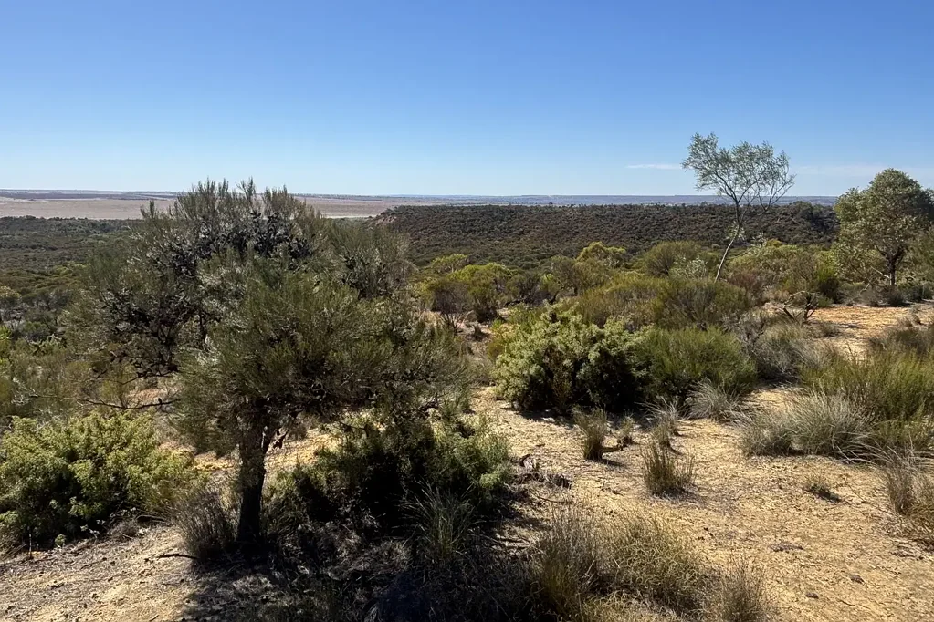 Wicherina  Pristine bushland with arable acres