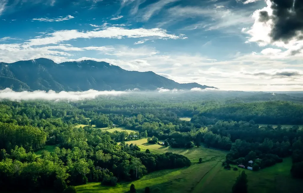 1010 Promised Land Road, Bellingen, NSW 2454