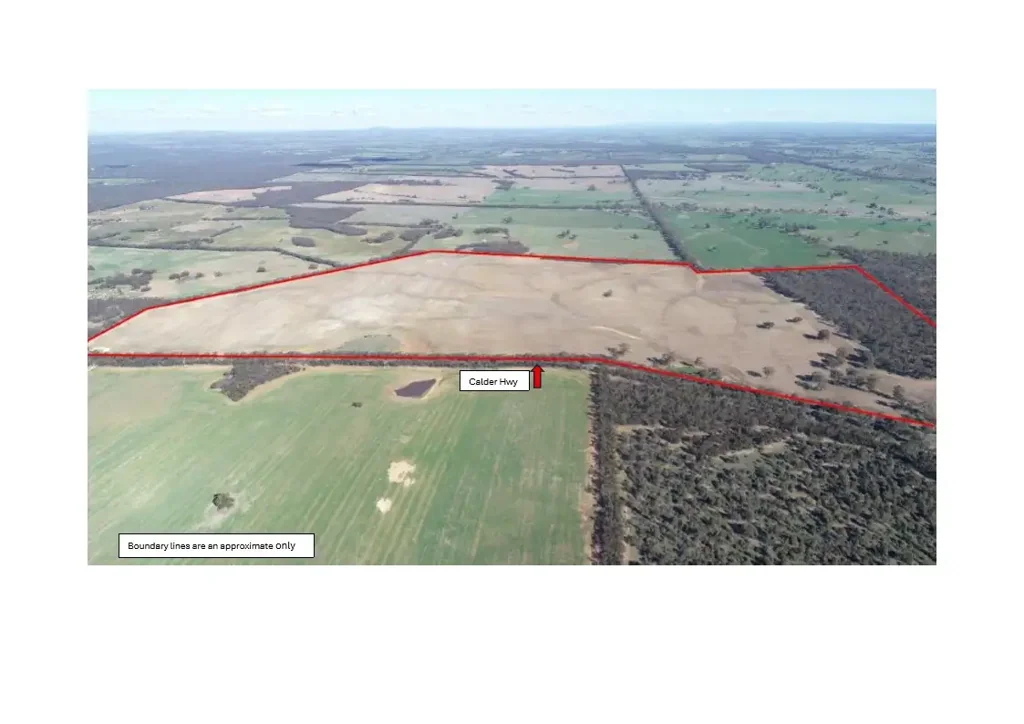 Wedderburn 325 Acres of  Cropping & Grazing Land - Outstanding Location & Potential