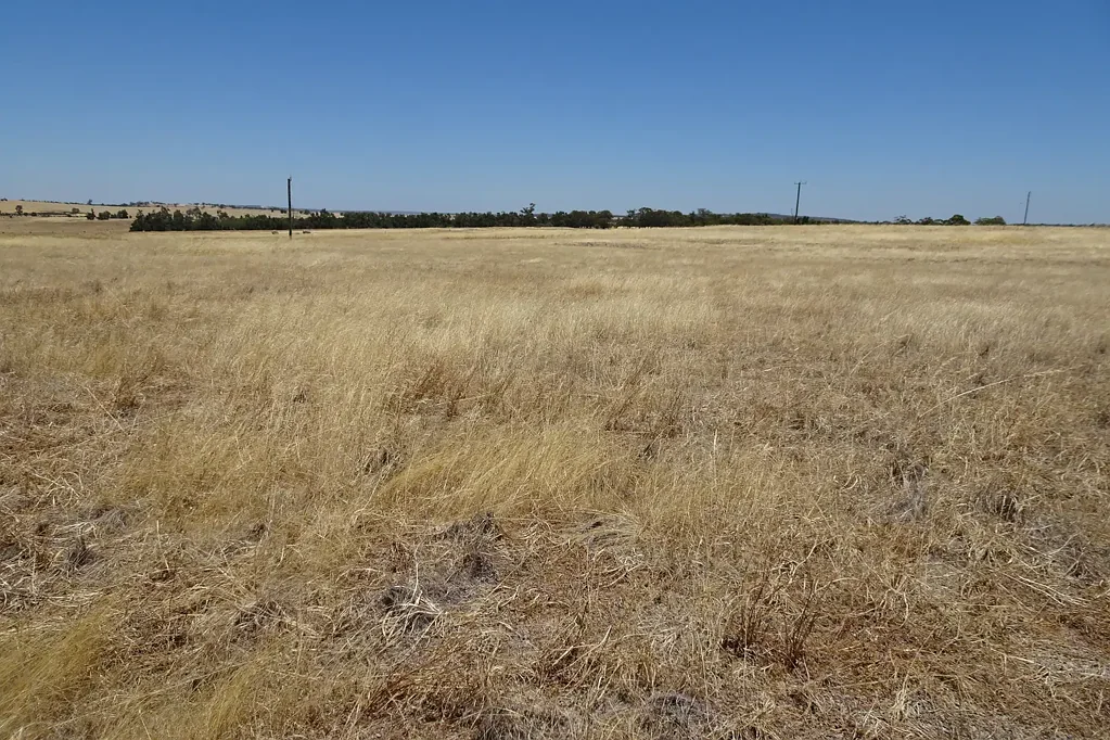 Brookton  "Merkine Valley" Classic West Brookton Country