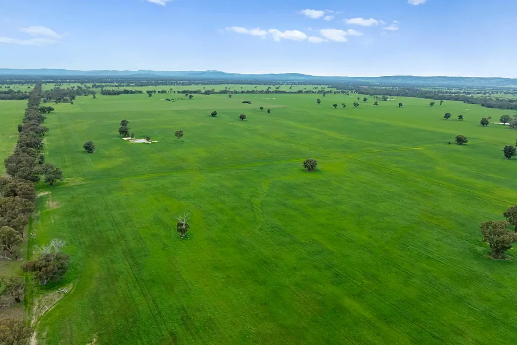 Nagambie  320-Acre Cropping/Grazing Opportunity
