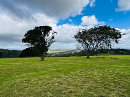 16 Wedgetail Drive, Highfields