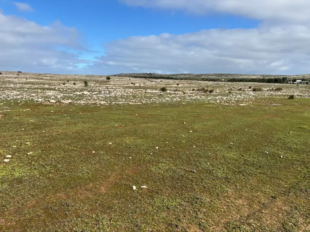 LOT 317 Nowhere Else Road, Sheringa, SA 5607