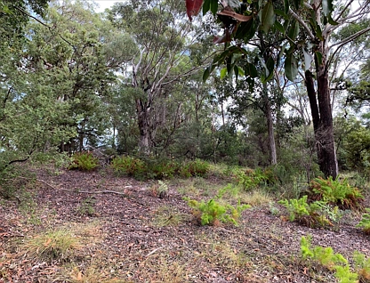850 Kingfisher Heights Drive, K'Gari, Rest of QLD, 0 ਕਮਰੇ, 0 ਬਾਥਰੂਮ, Section