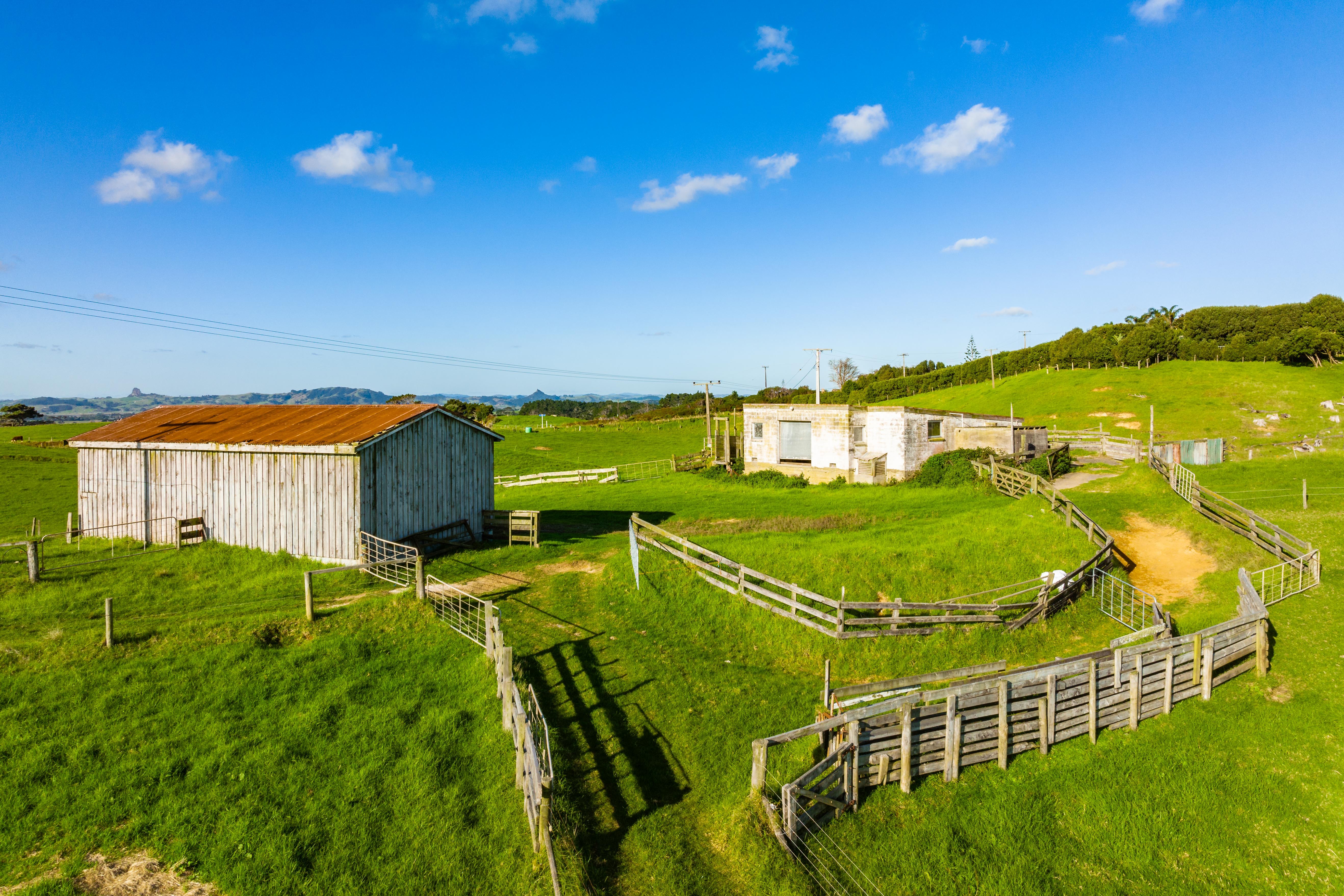 1116 Redhill Road, Te Kopuru, Kaipara, 0 habitaciones, 1 baños, Grazing