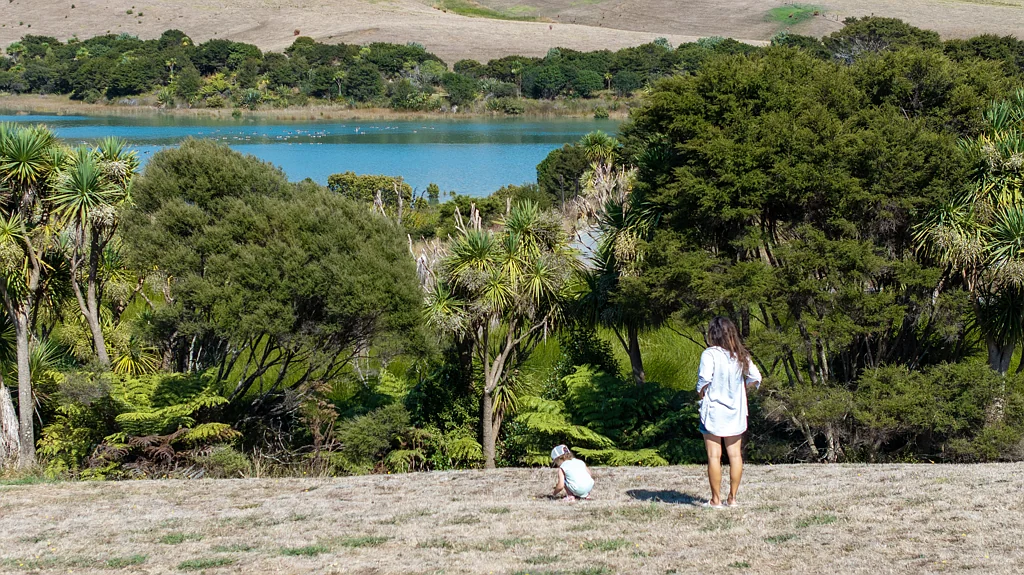 Raglan House & Land Package or Land Only - Build Your Way