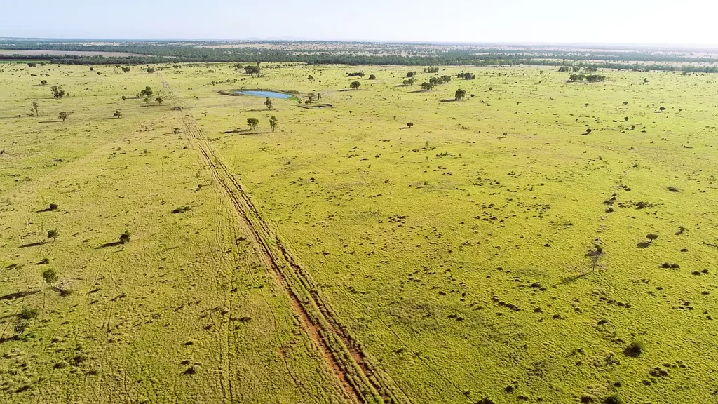 Roma  Quality Buffel Country Close To Roma