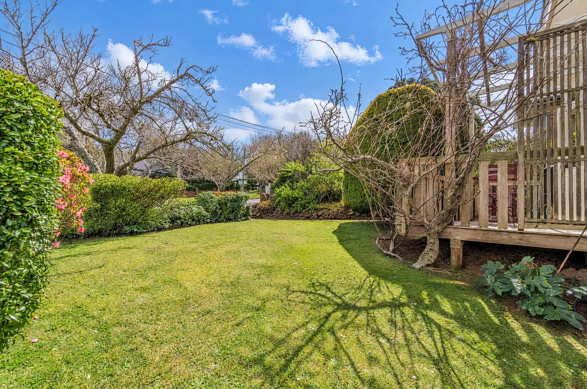 7 Bingley Avenue, Epsom, photo 11