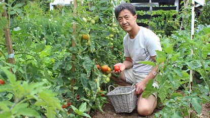 在寸土寸金的Remuera，这位华人的花园惊艳了奥克兰…