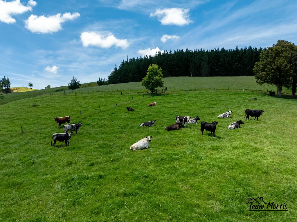 Paparoa The Complete Rural Package