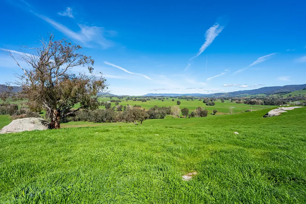 Staghorn Flat  "Valley View" - Staghorn Flat
