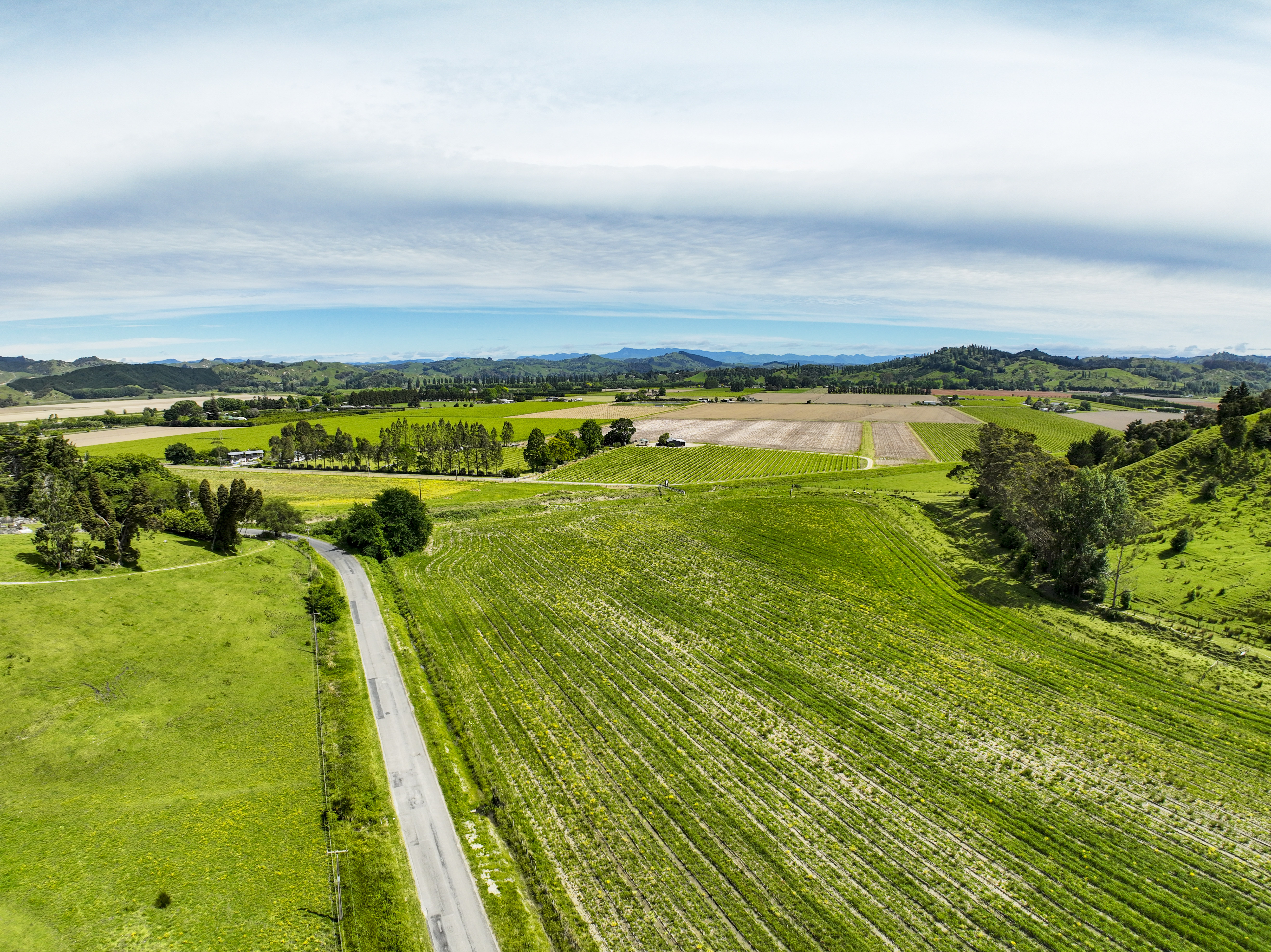 Ormond Valley Road, Ormond, Gisborne, 0 कमरे, 1 बाथरूम, Bare Land