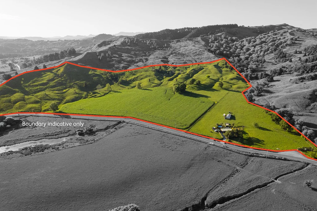 Te Karaka  Large lifestyle, small farm