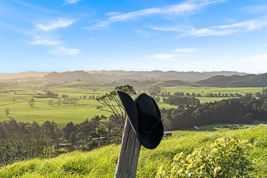 Whareora Bare Land, Big Freedom