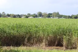 76 Queen Street, Bundaberg North