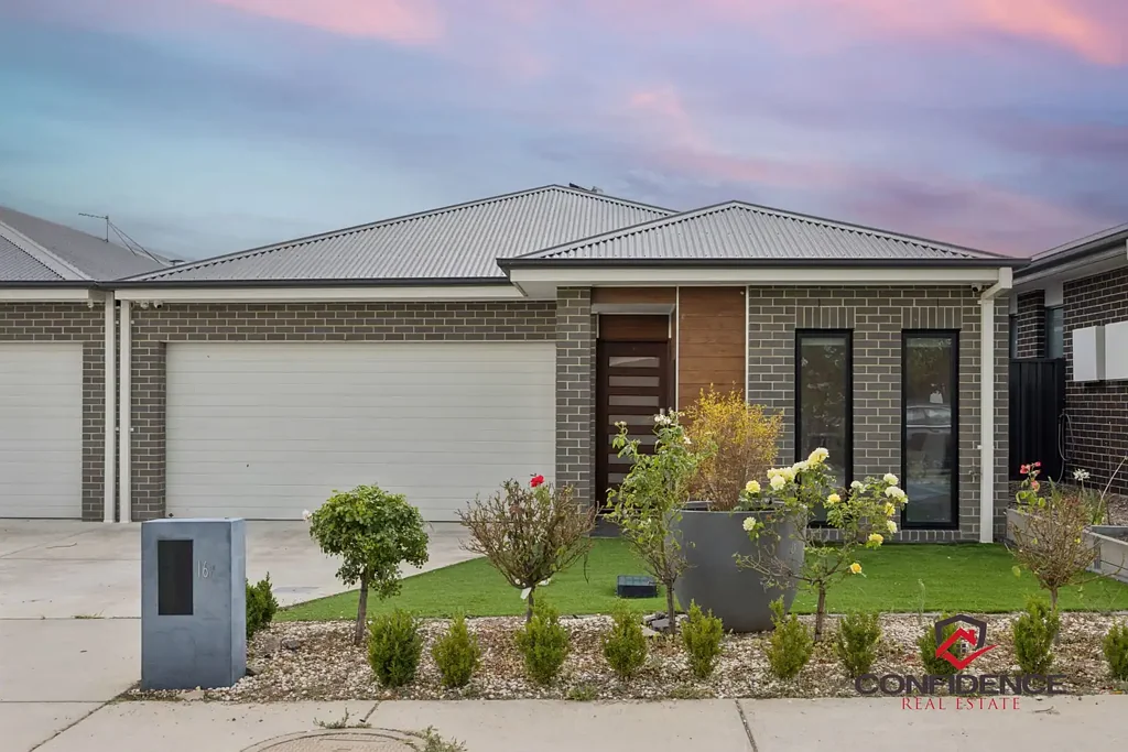 16 Galaxias Street, Throsby, ACT 2914