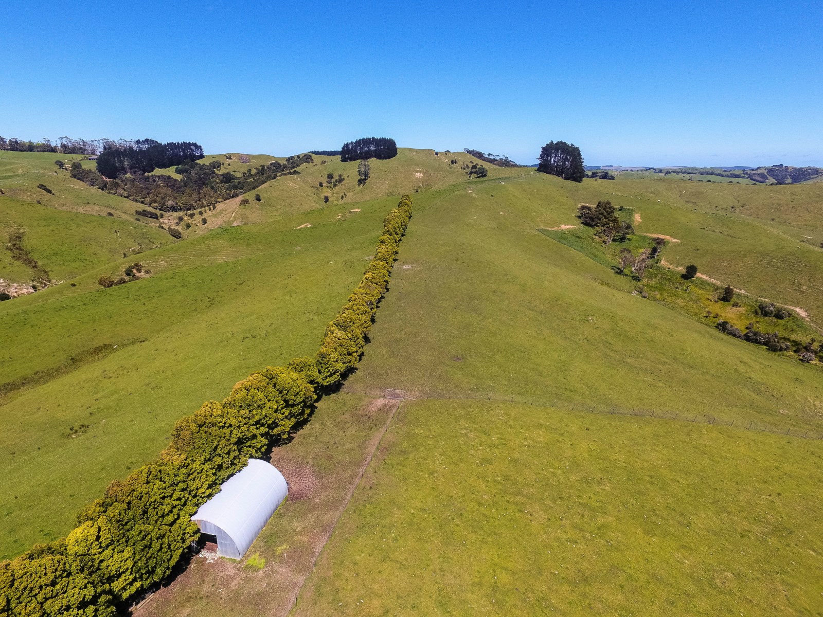 480 Peake Road, Pukemoremore, Waipa, 3 Kuwarto, 1 Banyo