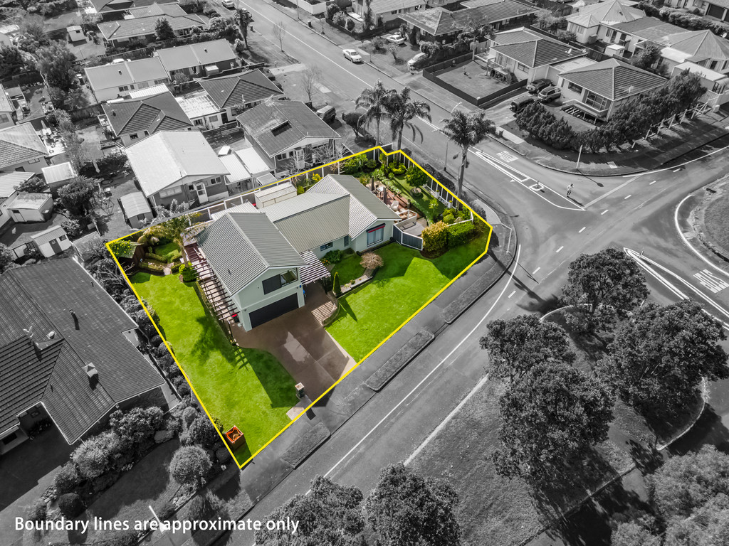 Residential  Terrace Housing and Apartment Building Zone