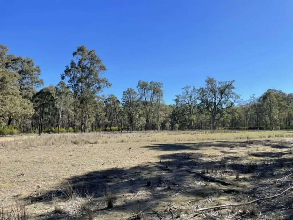 Sandy Hollow Ahh The Serenity
! - 40 Ac Bush Getaway
