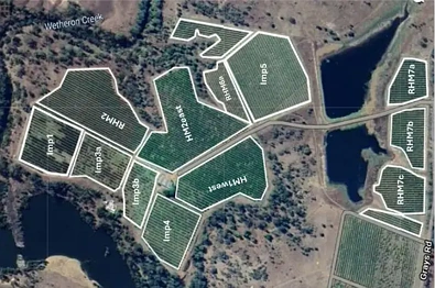 166 Grays Road, Wetheron, QLD 4625, 4 રૂમ, 2 બાથરૂમ, Lifestyle Property