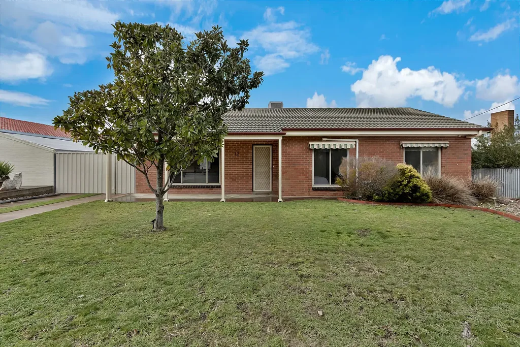 12 Elizabeth Avenue, Nuriootpa, SA 5355