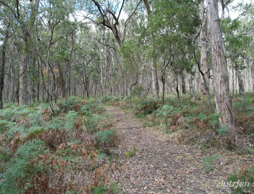 "Myamyn West" Myamyn Road, Hotspur, Portland and Glenelg Shire, 0 રૂમ, 0 બાથરૂમ, Lifestyle Property