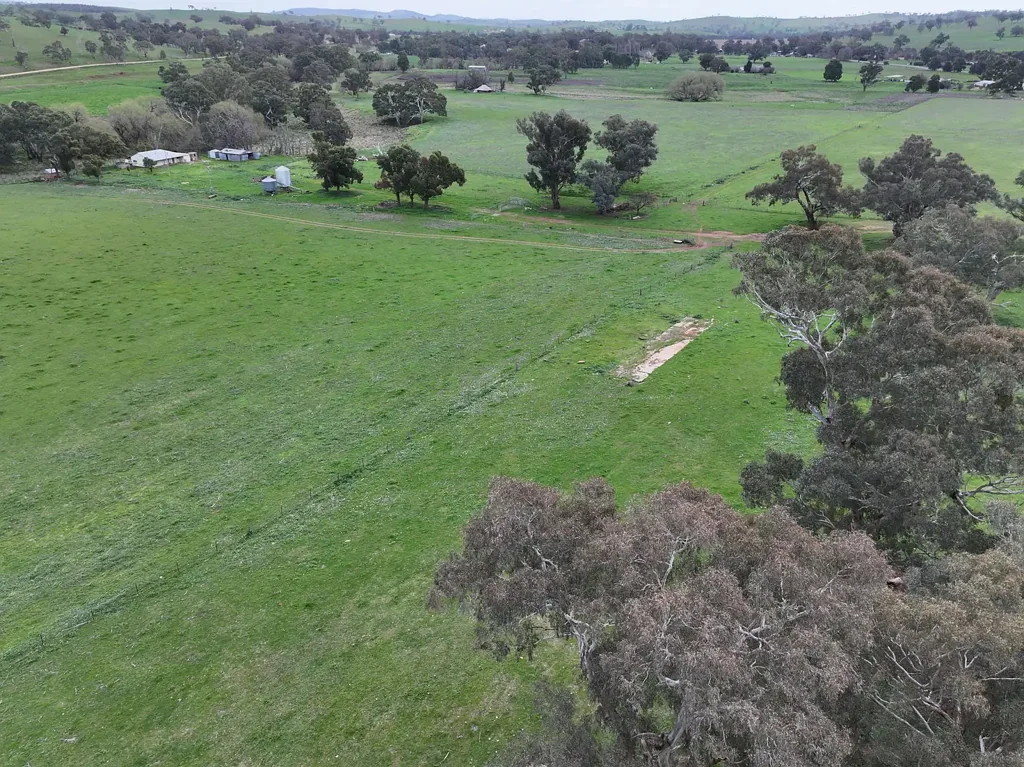 1471 & 1557 Muttama Road, Muttama, NSW 2722