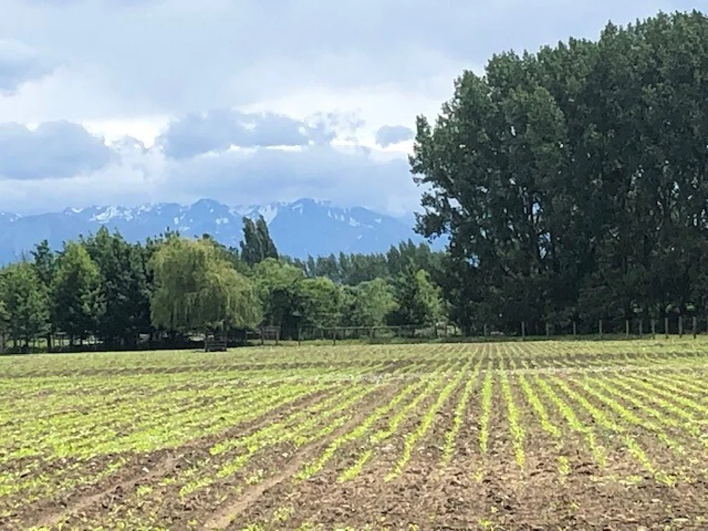Methven Varied Farming Options