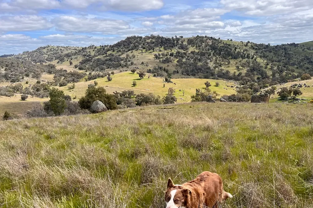 Wyangala  PERFECT WEEKEND GET AWAY WITH WATERFRONT VIEWS