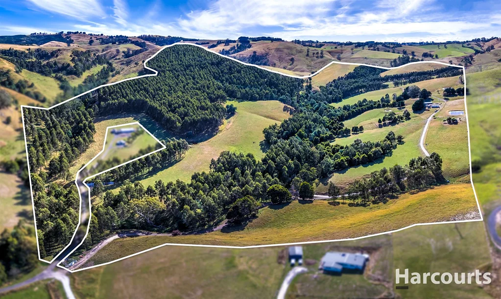 Wild Dog Valley 190 Acres - Prime Opportunity