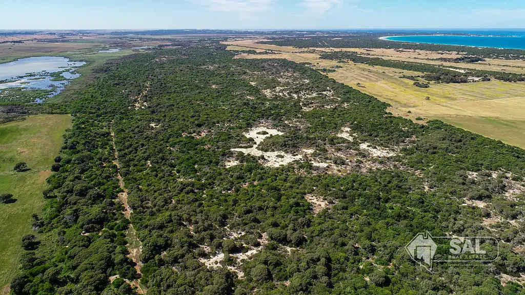 Beachport  Bush Blocks Close to Coast