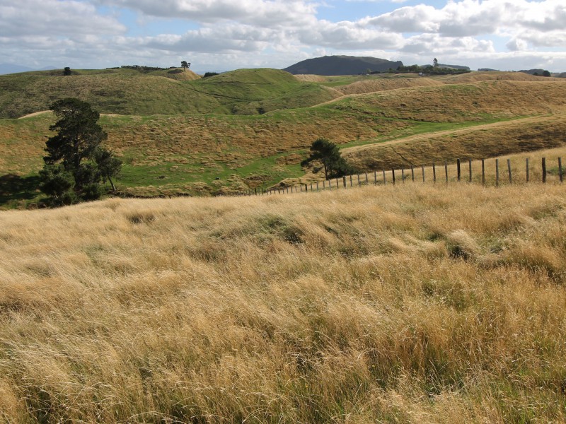 438 Tukairangi Road, Nukuhau, Taupo, 3 Bedrooms, 0 Bathrooms