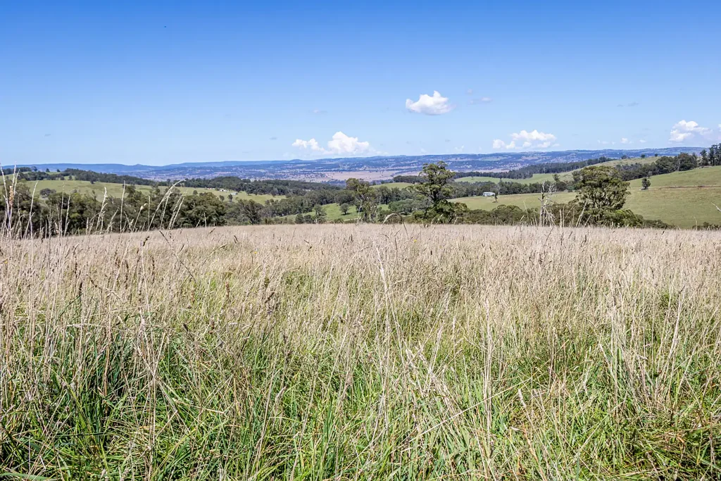 Walcha High Country Get Away, Top of the Great Dividing Range