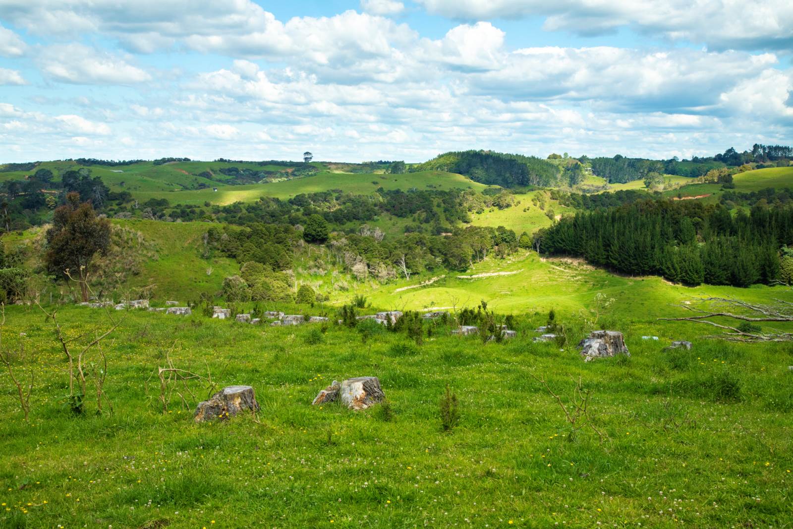 242 Parsons Road, Onewhero, Waikato, 0 침실, 0 욕실, Lifestyle Section