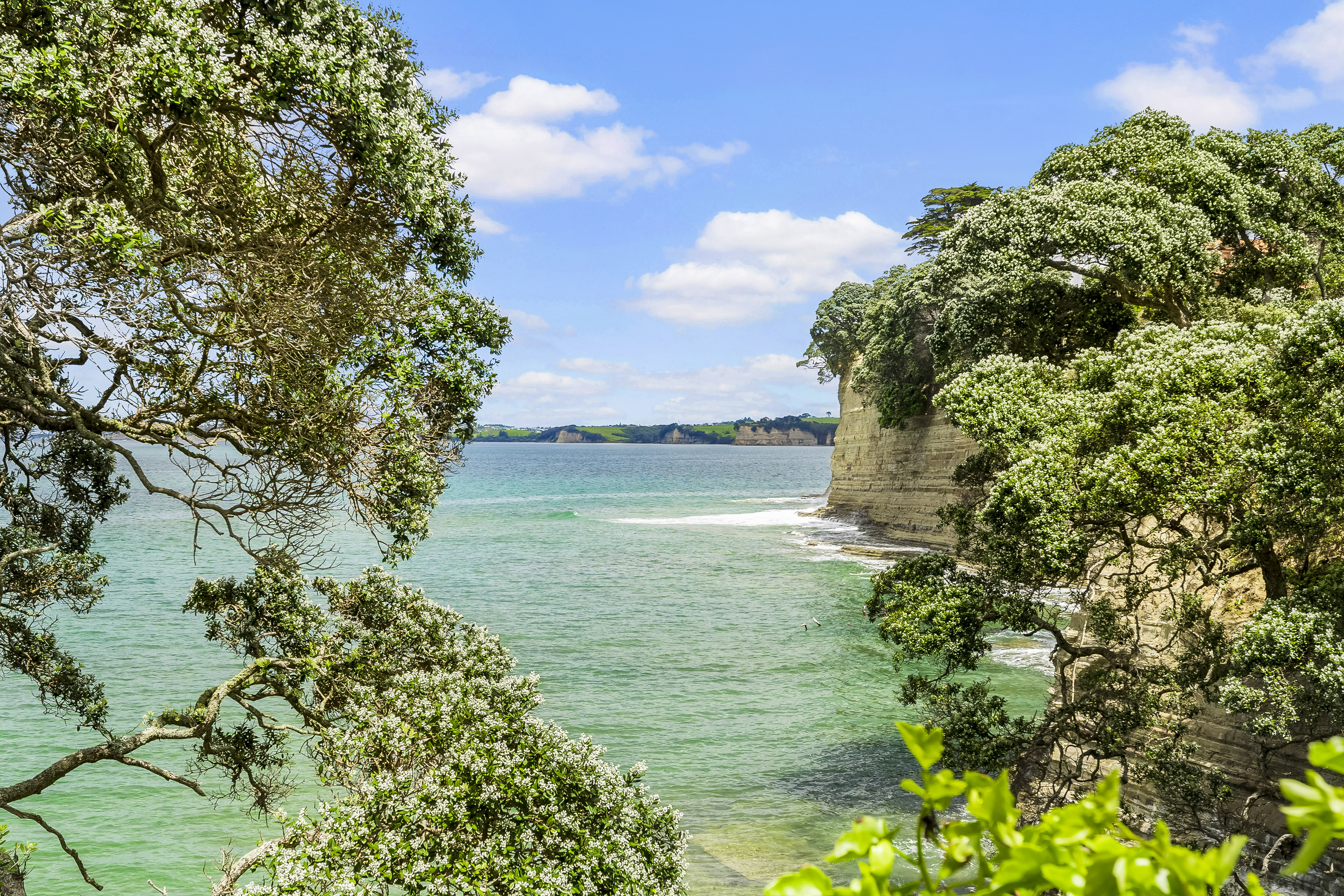 881a Whangaparaoa Road, Manly, Auckland - Rodney, 3 રૂમ, 0 બાથરૂમ, Section