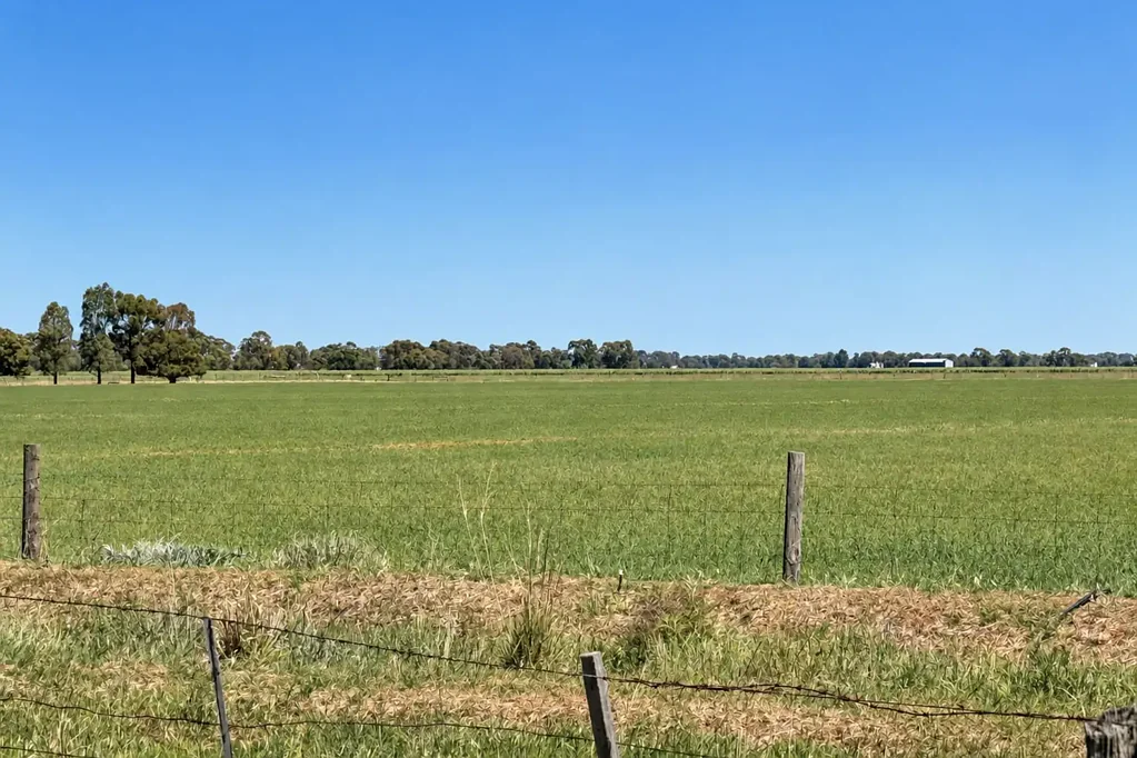 Kotta 318-acre Rural Property with Endless Potential