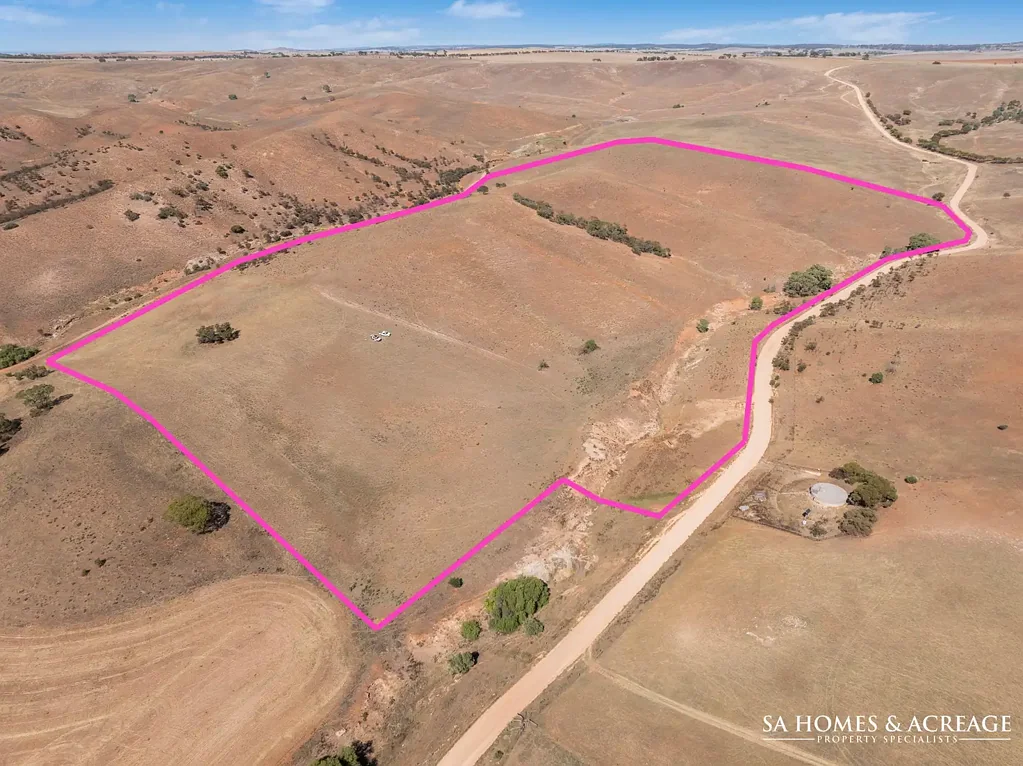 Point Pass Magnificent District Views - Country Living at Its Finest!