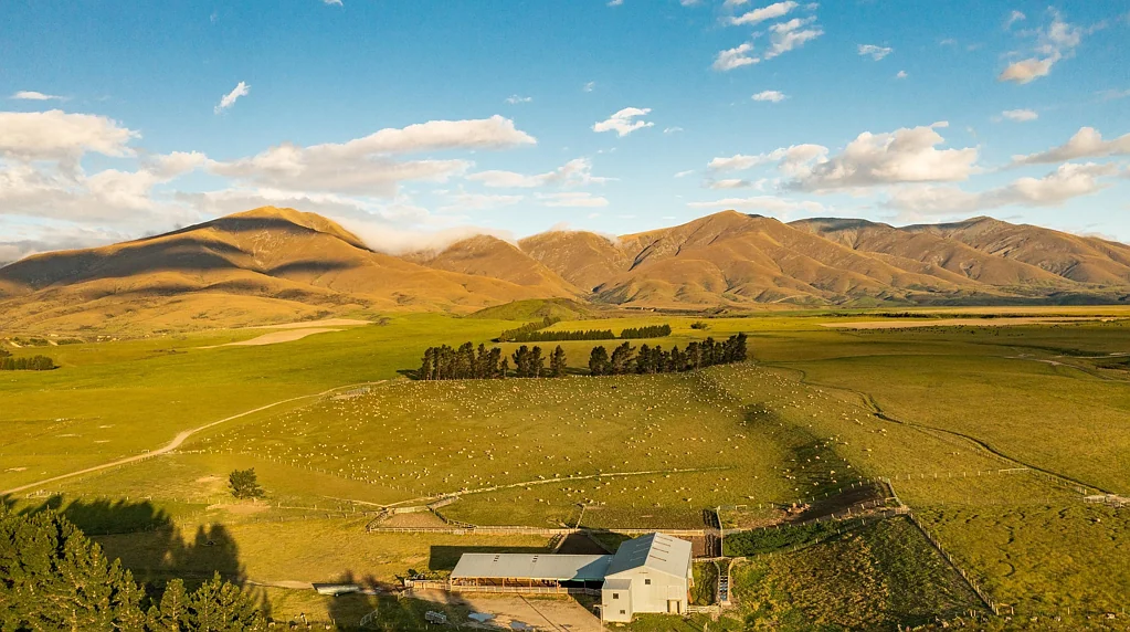 Ranfurly  THE EXCEPTION CREATING THE EXCEPTIONAL