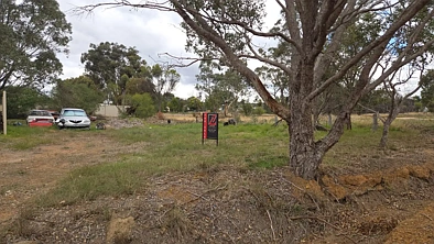 7 Dowsett Street, Narrogin, WA 6312, 0房, 0浴, Section