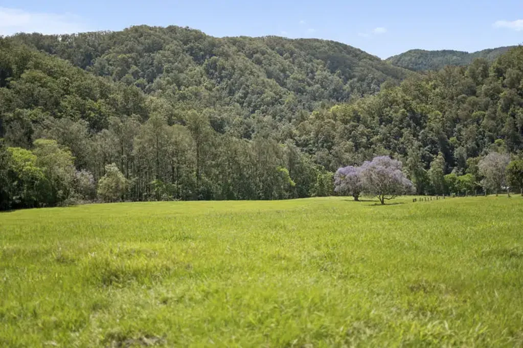 1314 Darkwood Road, Bellingen, NSW 2454